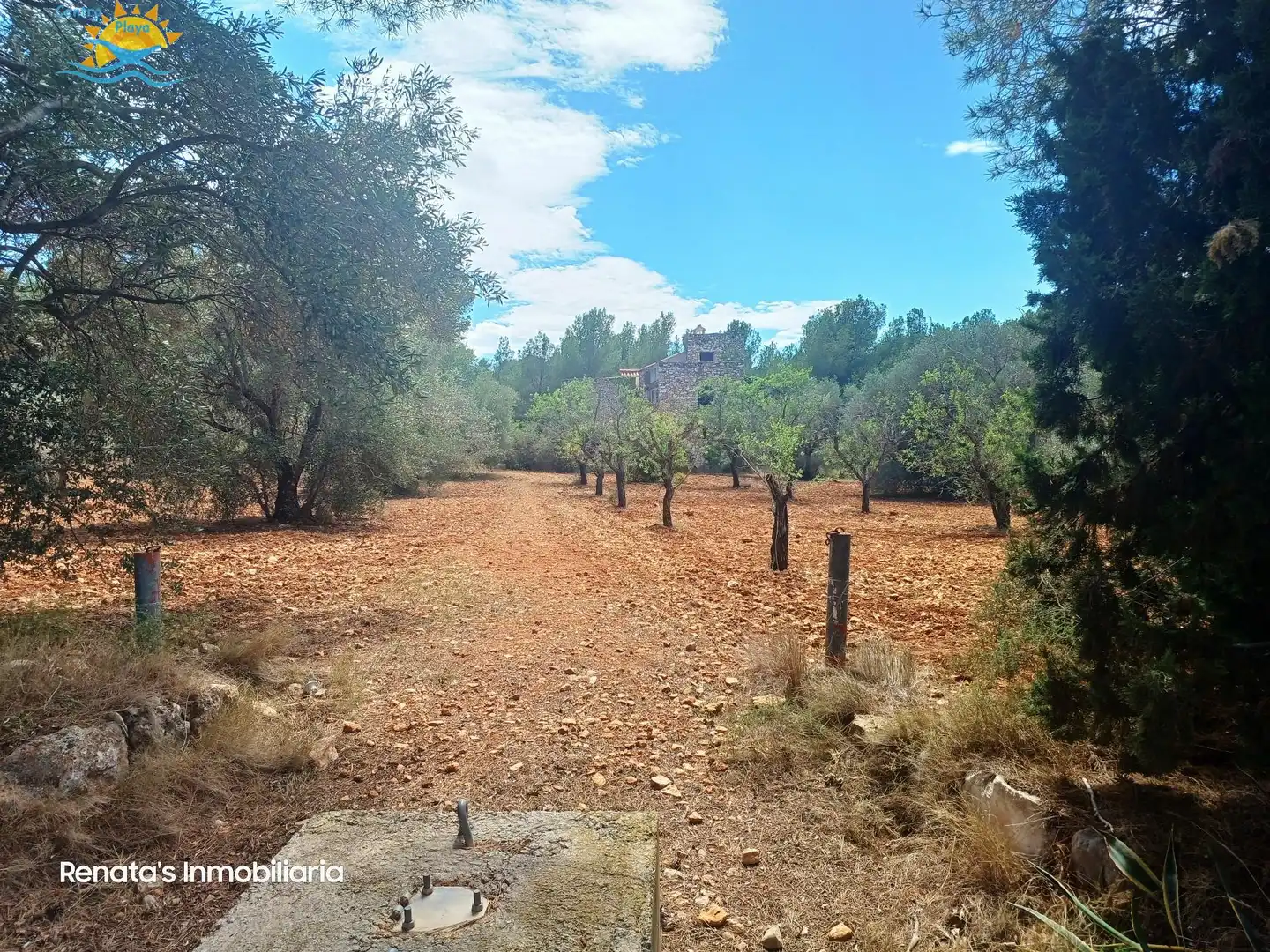 Finca rústica en venta en PEÑISCOLA, Las Atalayas - Urmi - Cerro de Mar