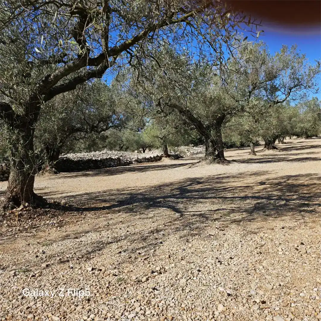 Grundstücke zum Verkauf in La Galera , Tarragona