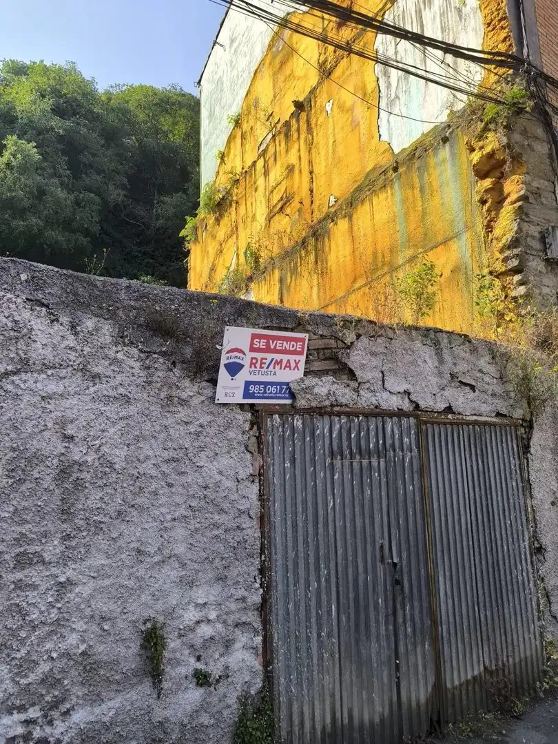 Exterior view of Residential for sale in Mieres (Asturias)
