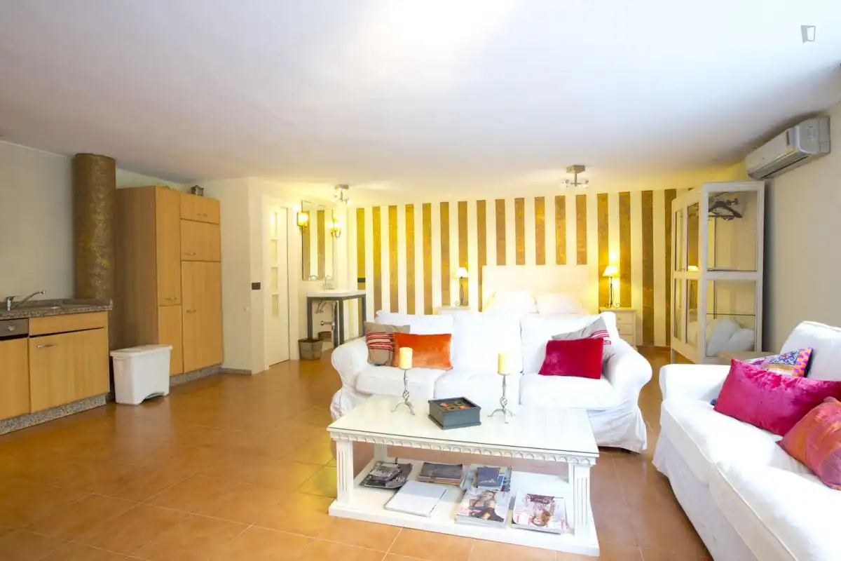 Sala de estar de Estudio de alquiler en Dos Hermanas con Aire acondicionado, Amueblado y Microondas