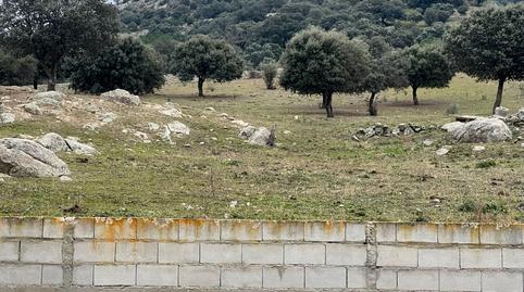 Photo 4 of Premises for sale in N/a, San Bartolomé de Pinares, Ávila