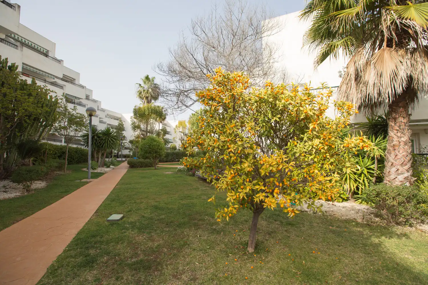 Jardí de Planta baixa de lloguer en Marbella amb Terrassa, Traster i Piscina