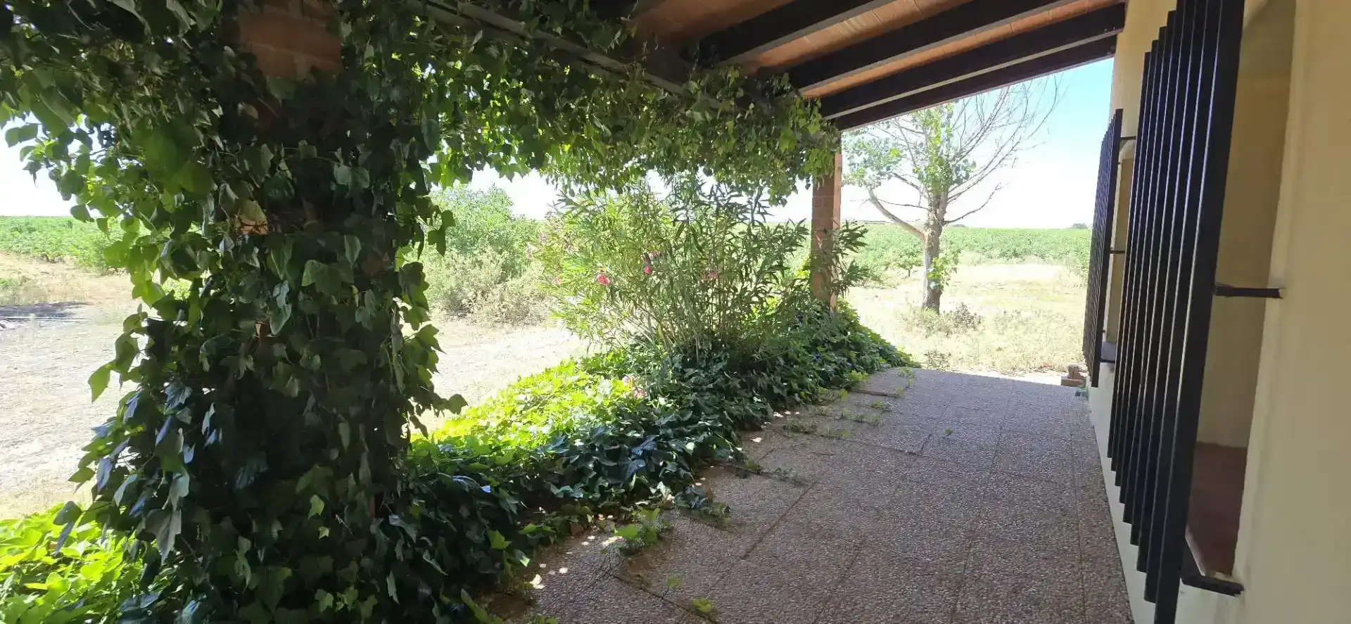 Terrassa de Finca rústica en venda en Villarrobledo amb Piscina