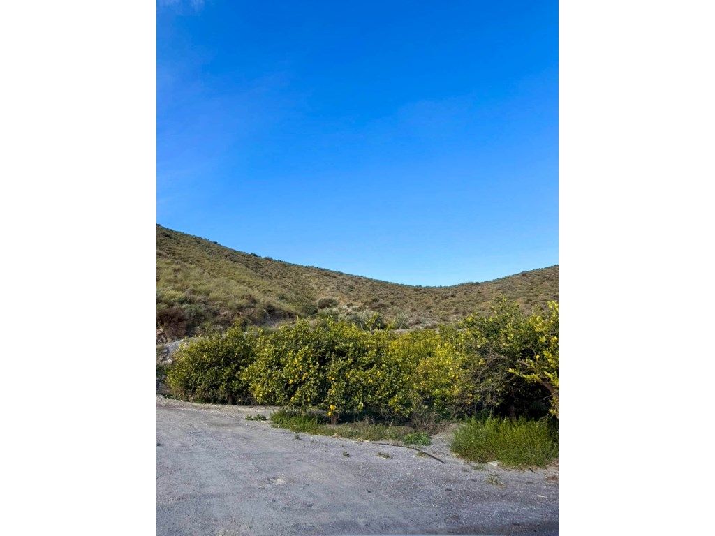 Houses for sale in Cantoria