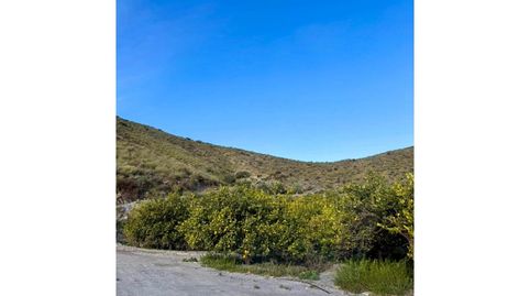 Finca agrícola en producción  79.357 m
