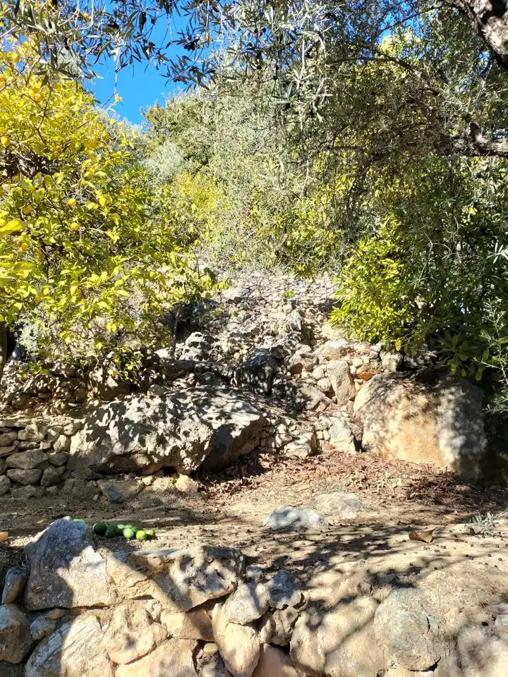 Finca rústica en venda en El Pinar