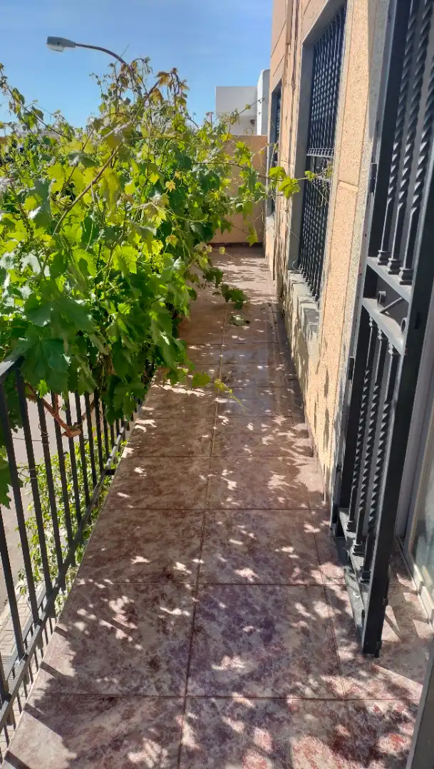 Terrassa de Casa adosada en venda en El Ejido amb Terrassa i Balcó