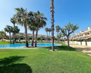 Casa o xalet de lloguer a Fotógrafo Francisco Cano, Alicante / Alacant