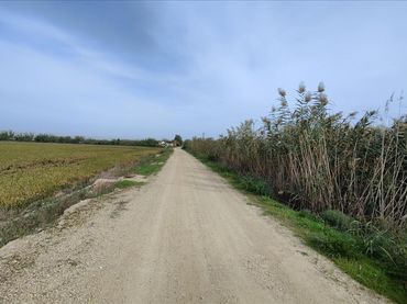 Terreno residencial en venta en Polígono 8