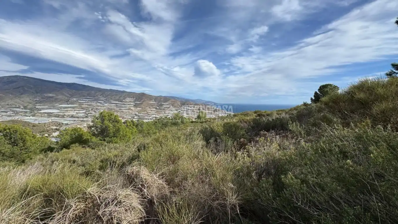 Vista exterior de Terreno en venta en Gualchos