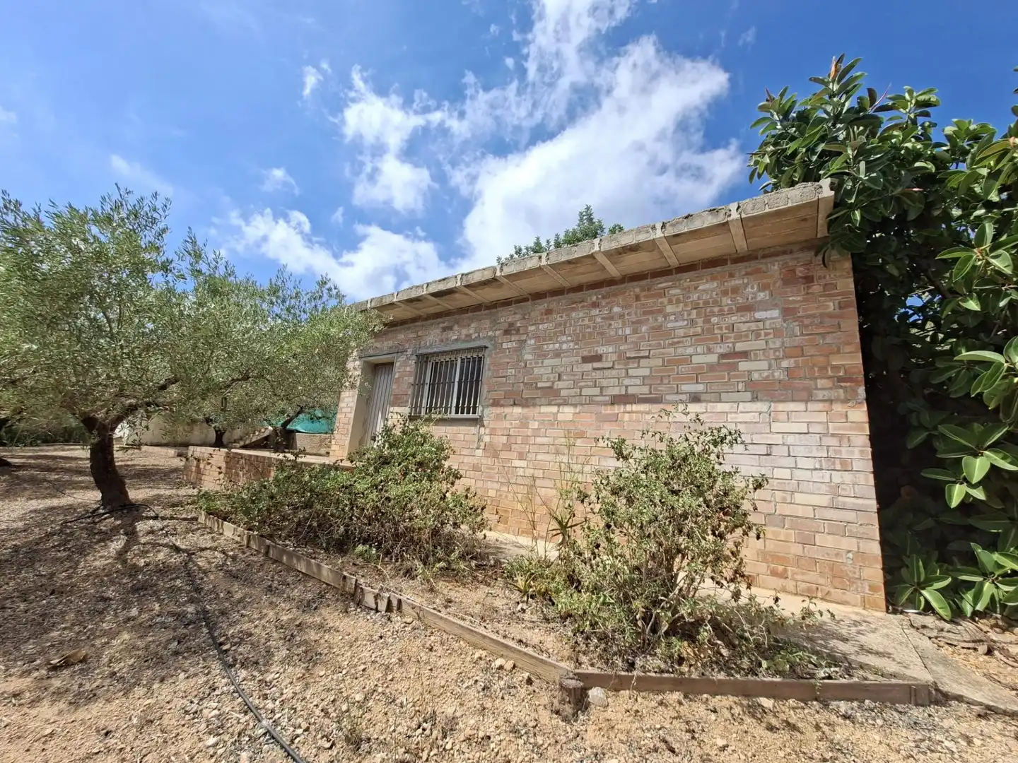 Terreno rustico in vendita a Partida del Mas d'en Civill