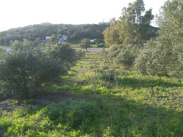 Terreno rustico in vendita a Carretera del Marquesado