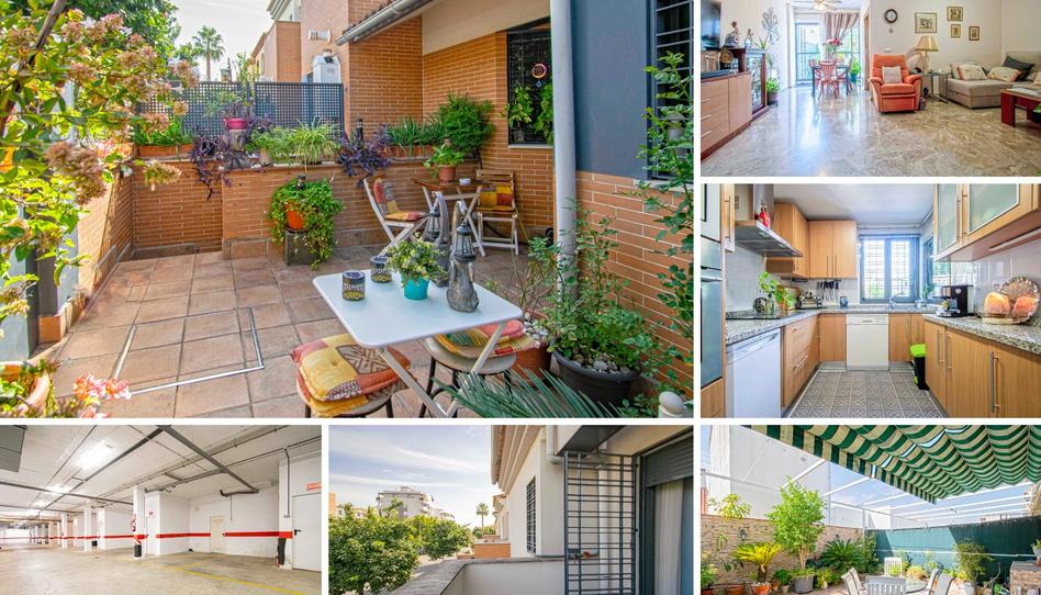 Foto 1 de Casa o xalet en venda a Calle Campo Alegre, Casco Antiguo, Sevilla