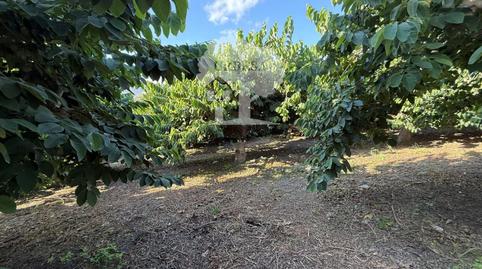 Photo 4 of Land for sale in Pataura, Motril  ciudad, Motril