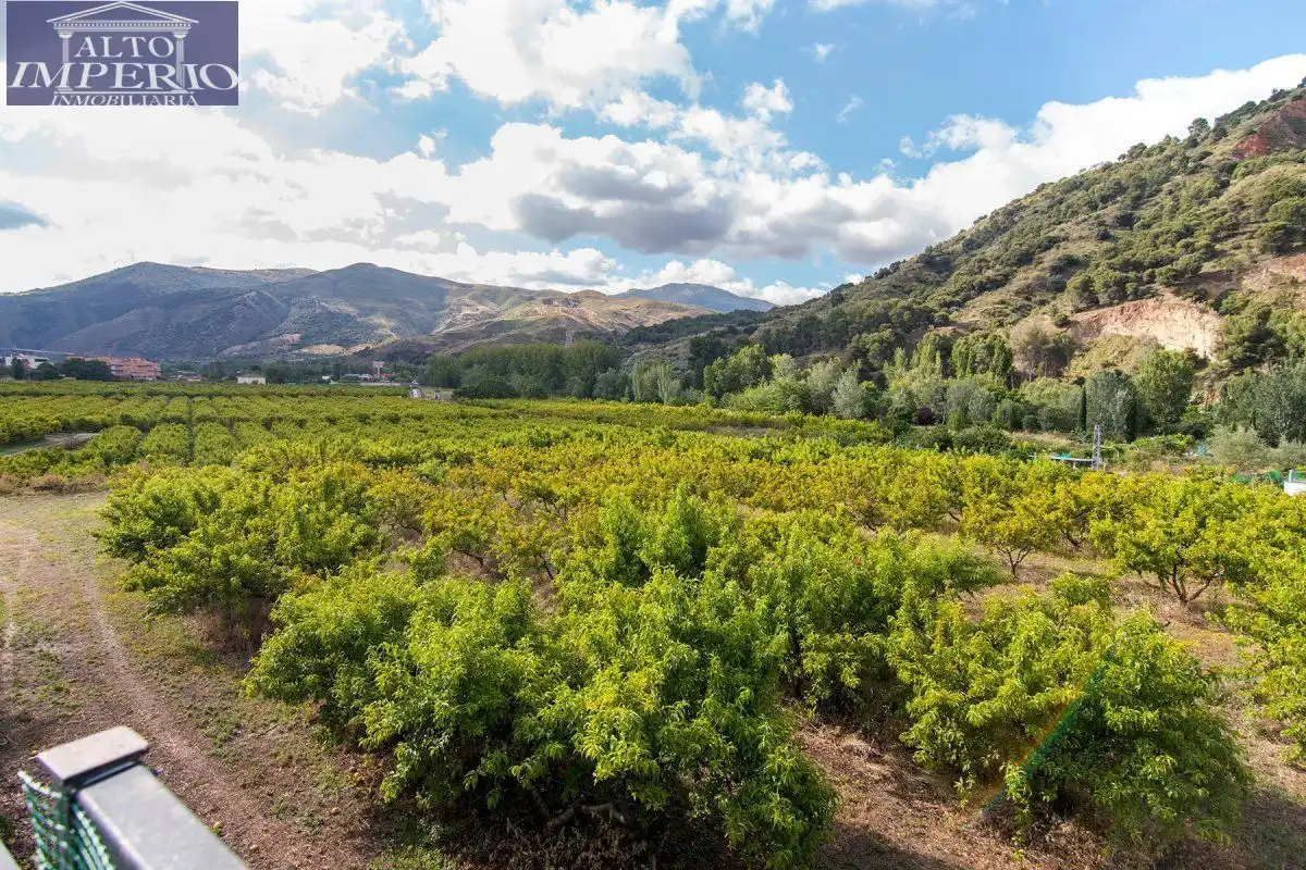 Vista exterior de Finca rústica en venta en Granada