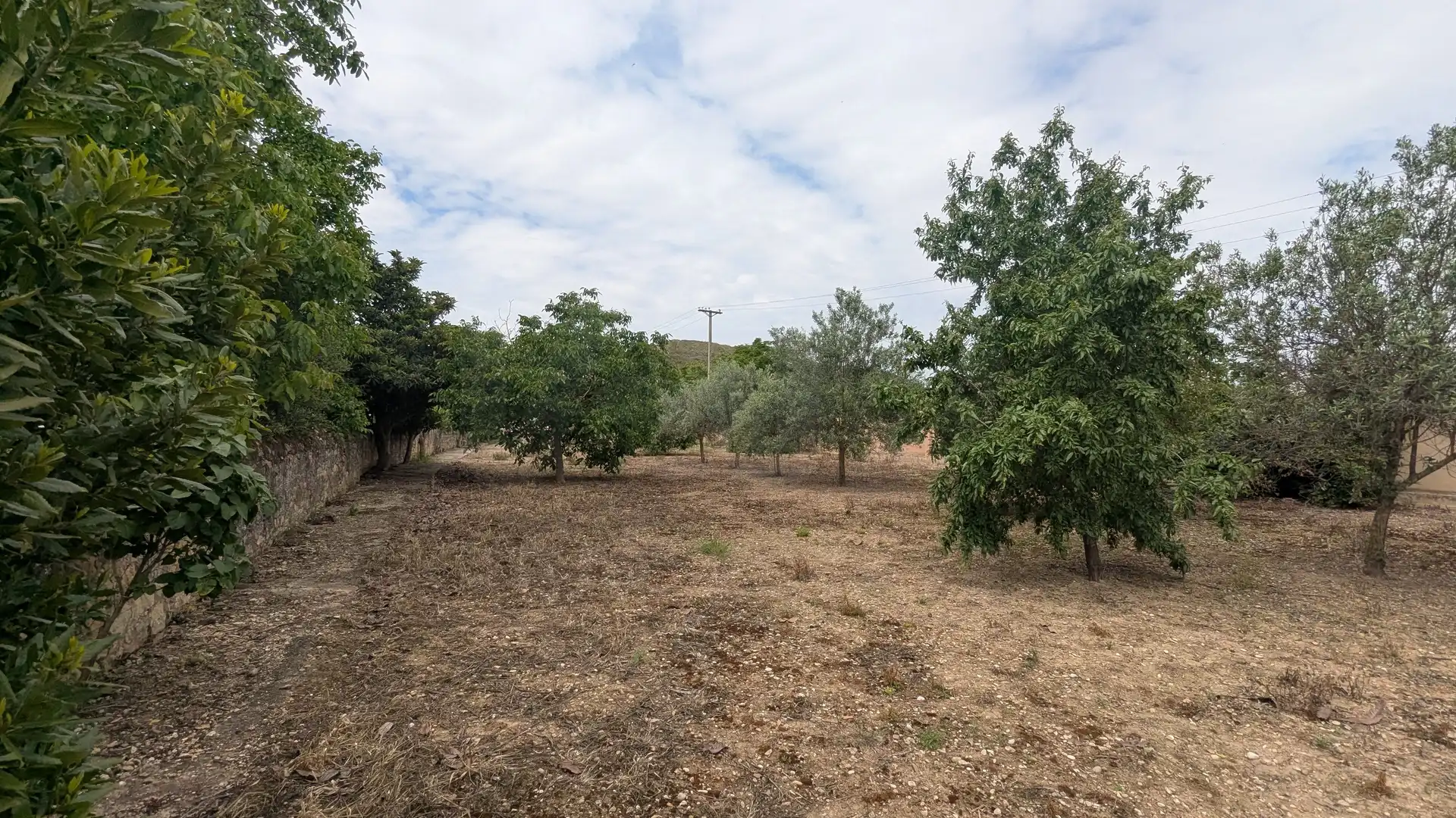 Country homes for sale in Oeste