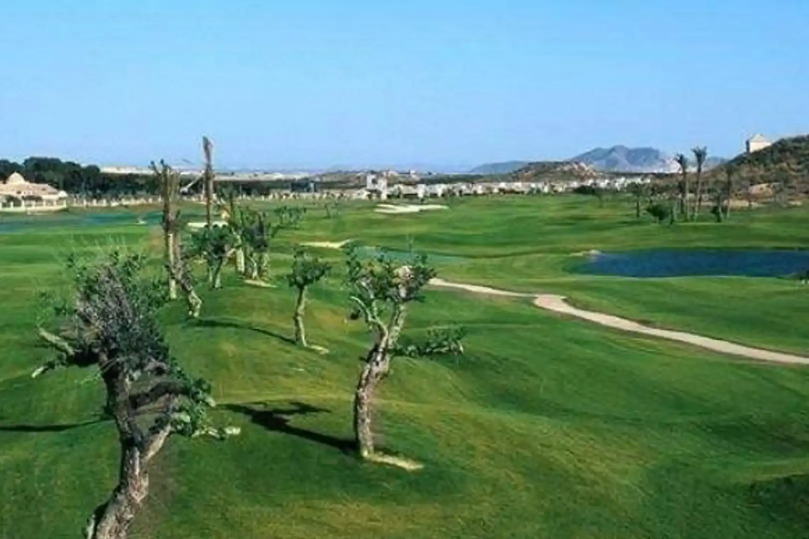 Reihenhaus zum Verkauf in Campo de Murcia, imagen 30