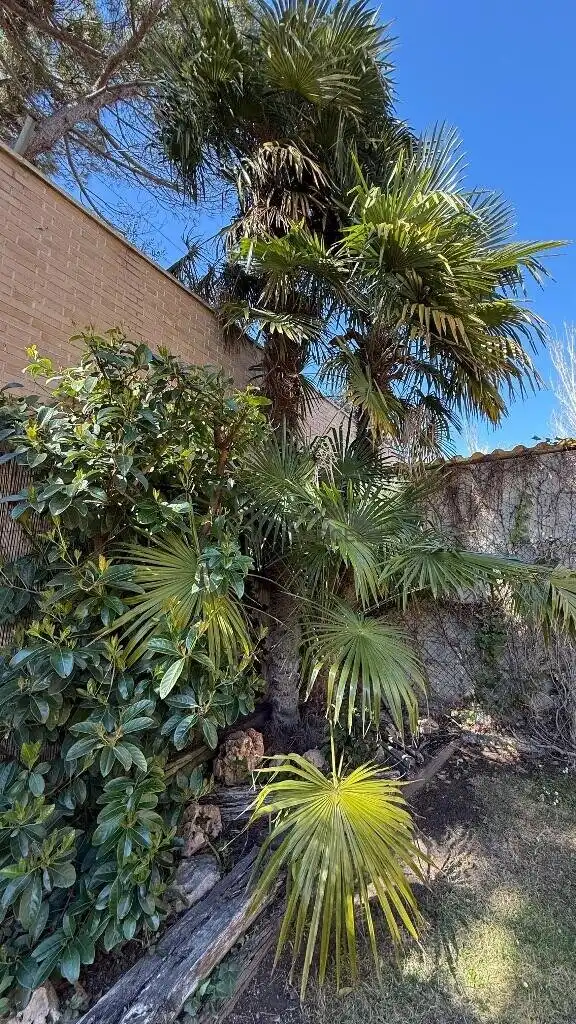 Casa adosada en venta en Casablanca