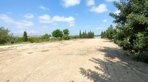 Foto 4 von Grundstücke zur Miete in Sangonera la Seca, Murcia Capital