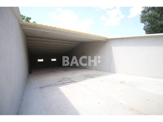 Local comercial en Alquiler en El Sucre - El Nadal