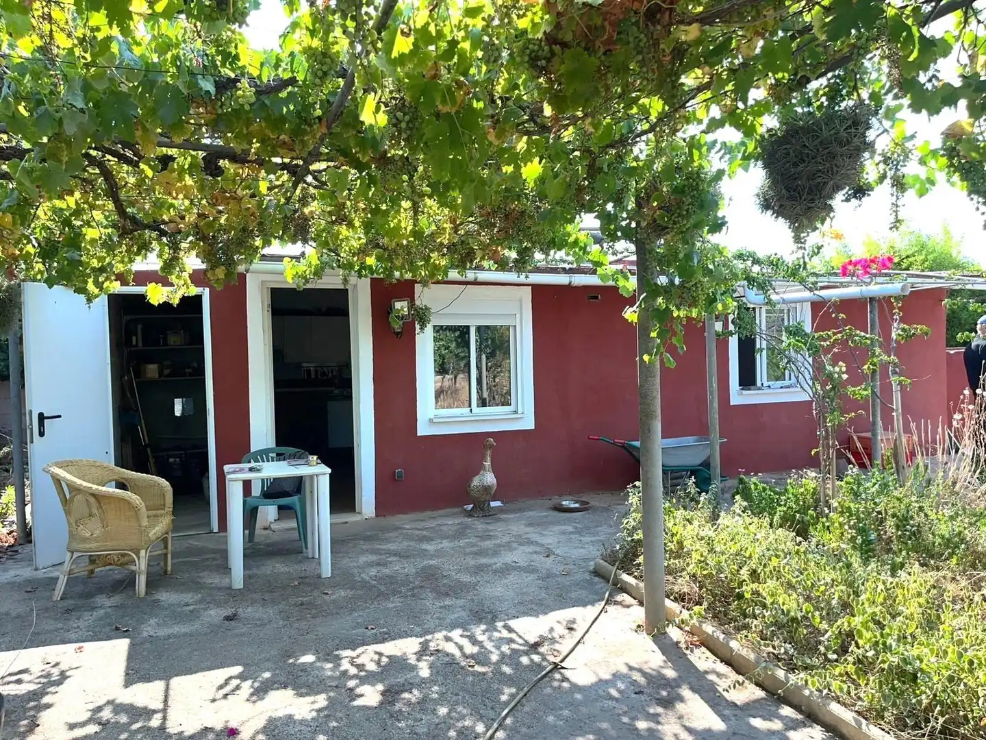 Jardí de Finca rústica en venda en  Palma de Mallorca amb Jardí privat i Terrassa