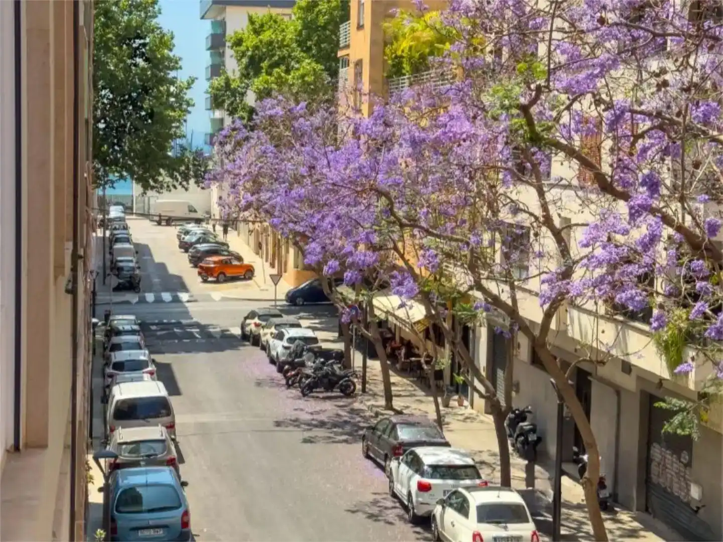 Vista exterior de Piso en venta en  Palma de Mallorca con Aire acondicionado y Balcón