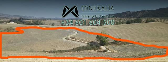 Finca rústica en Venta en Casco Histórico