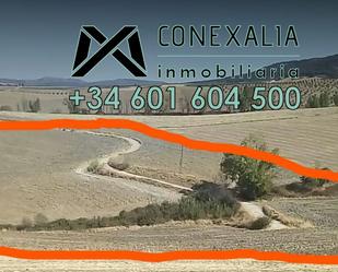 Finca rústica en venda en Ronda