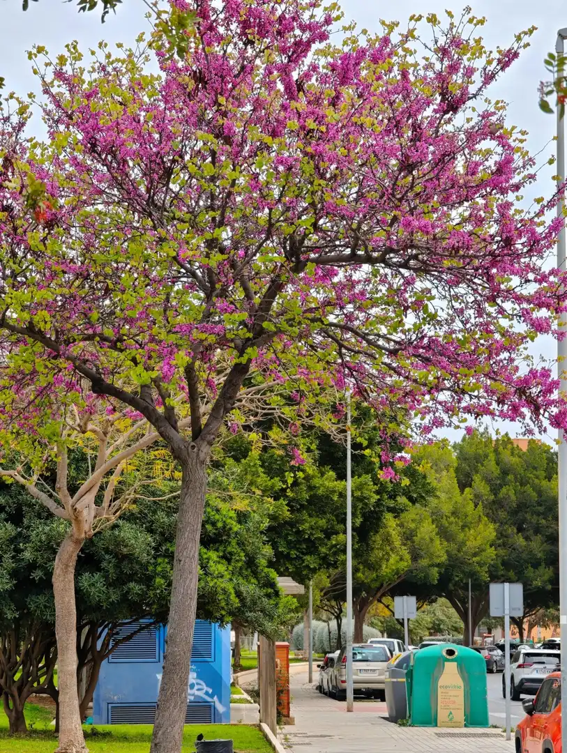 Vista exterior de Casa o xalet en venda en Almería amb Aire condicionat, Calefacció i Moblat