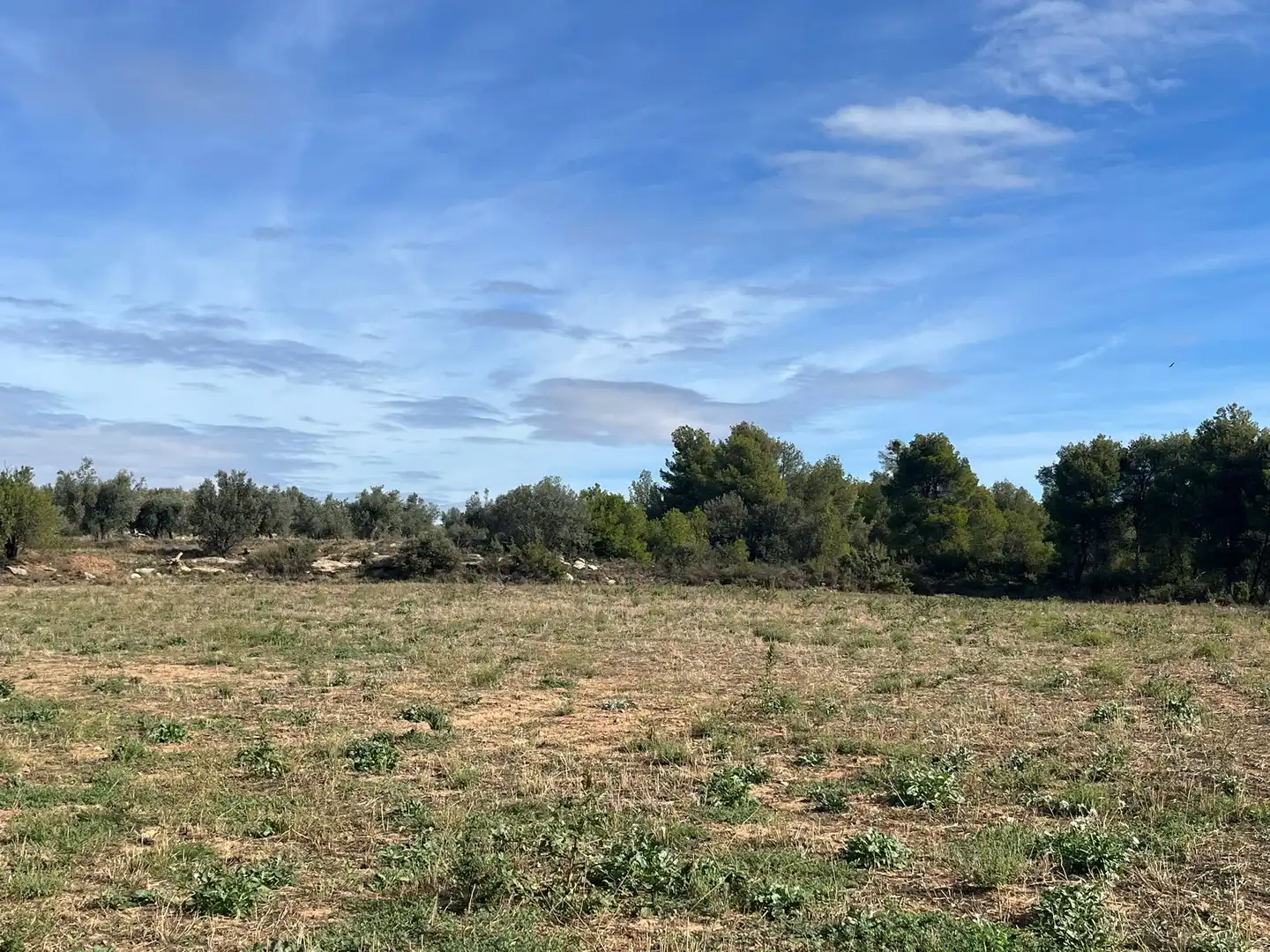 Terreni e lotti in vendita a Valderrobres, imagen 6