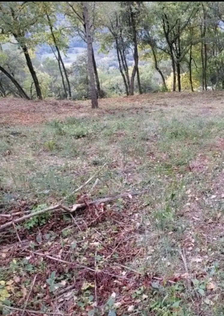 Residential land for sale in Avinguda Catalunya 21, imagen 4