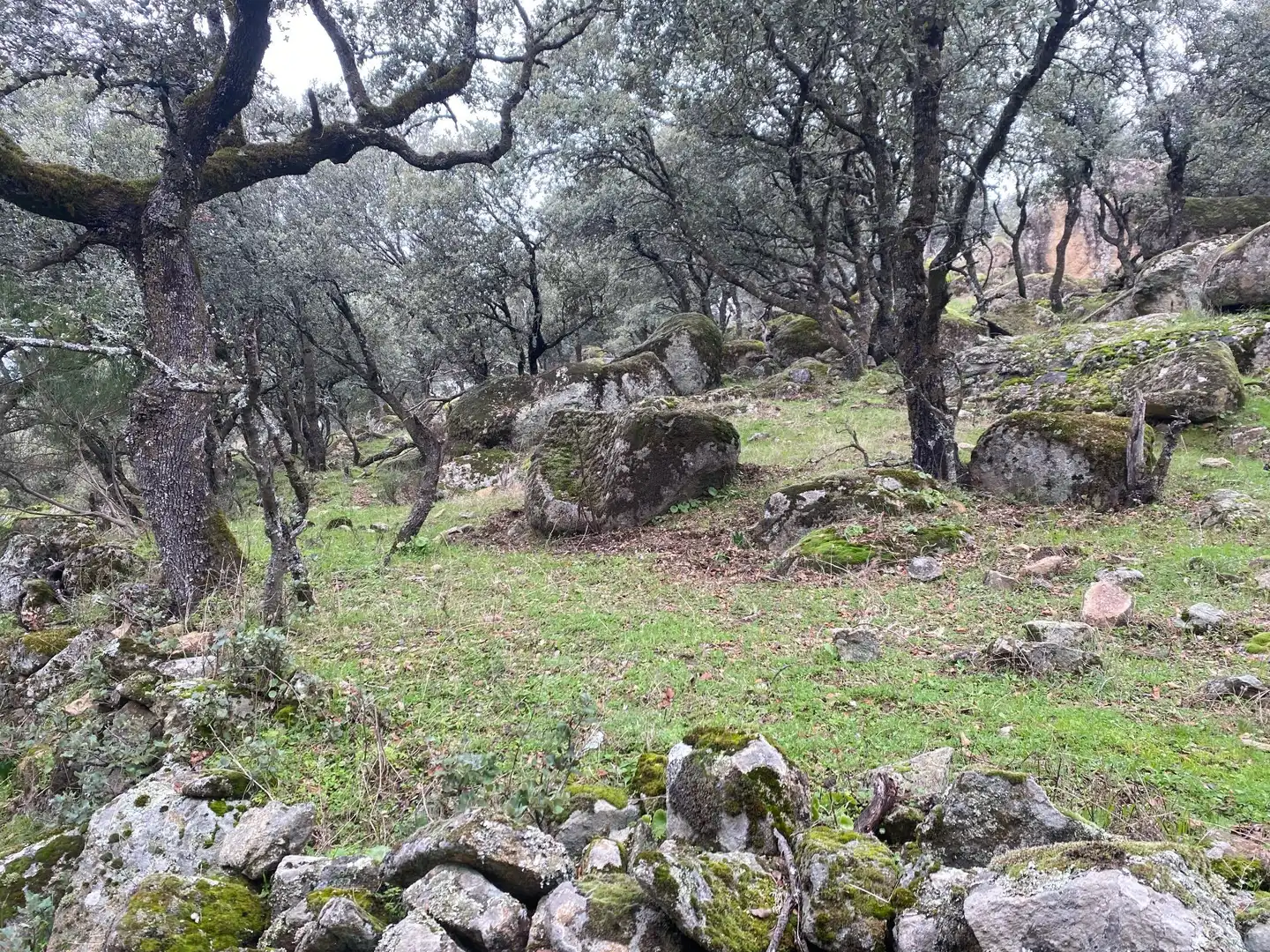 Terreni e lotti in vendita a Navamorcuende, imagen 12