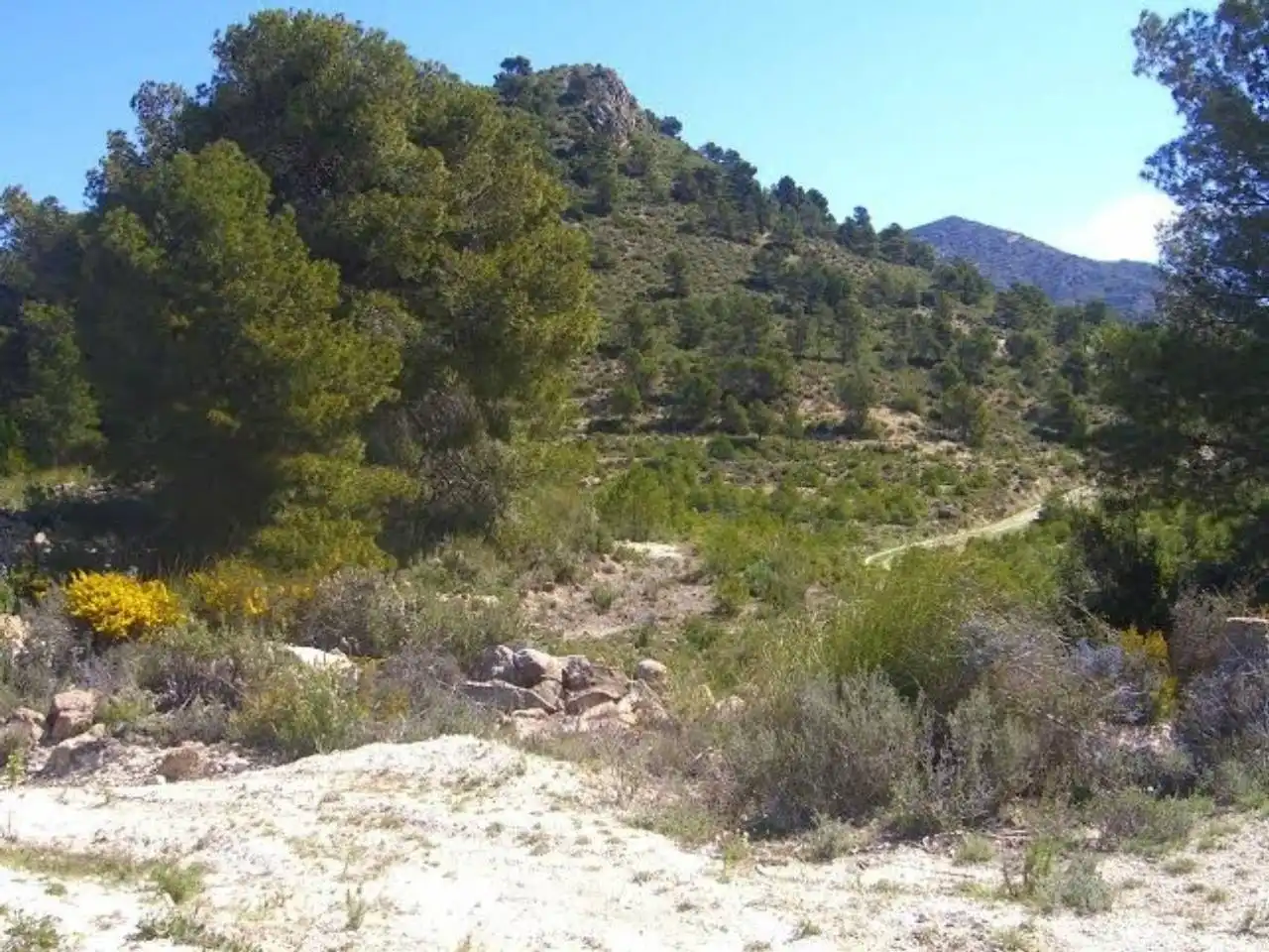 Terrains et parcelles à vendre à Pedanías Norte, imagen 26
