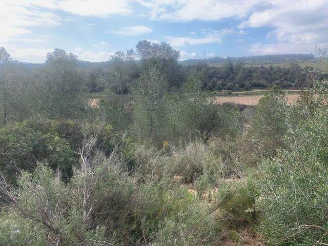 Terreno en Venta en Garcia