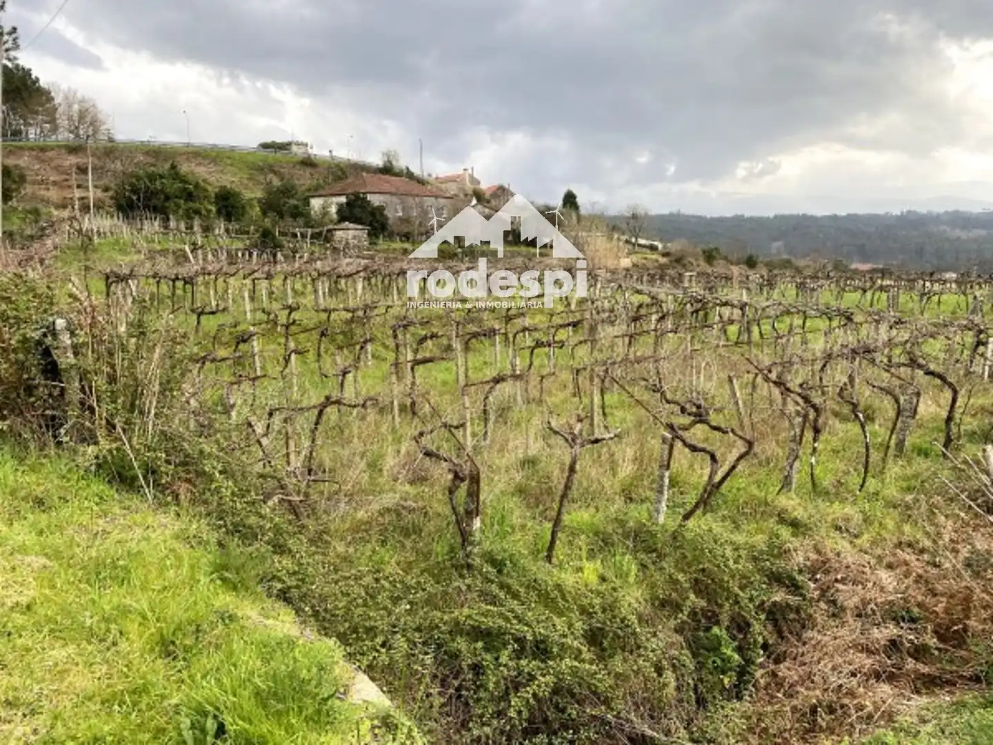 Terreny rústic en venda a A Cañiza, imagen 19