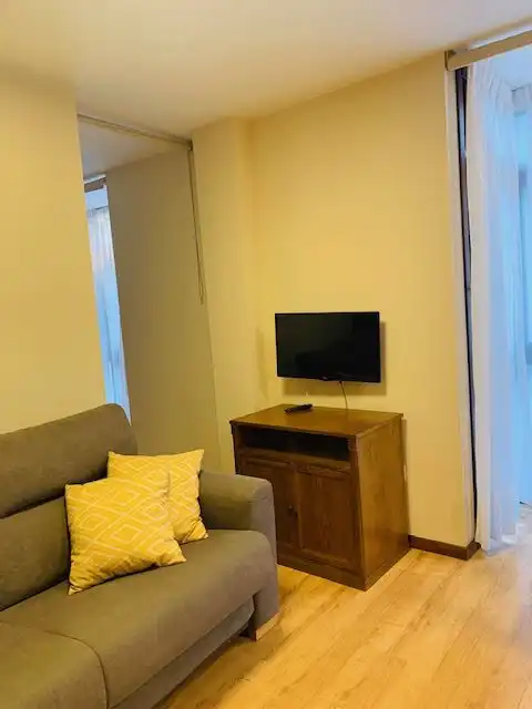 Wohnungen zur Miete in Barrio del Centro