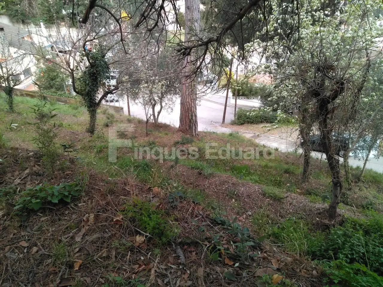 Terreno residencial en venta en Urbanitzacions, imagen 5