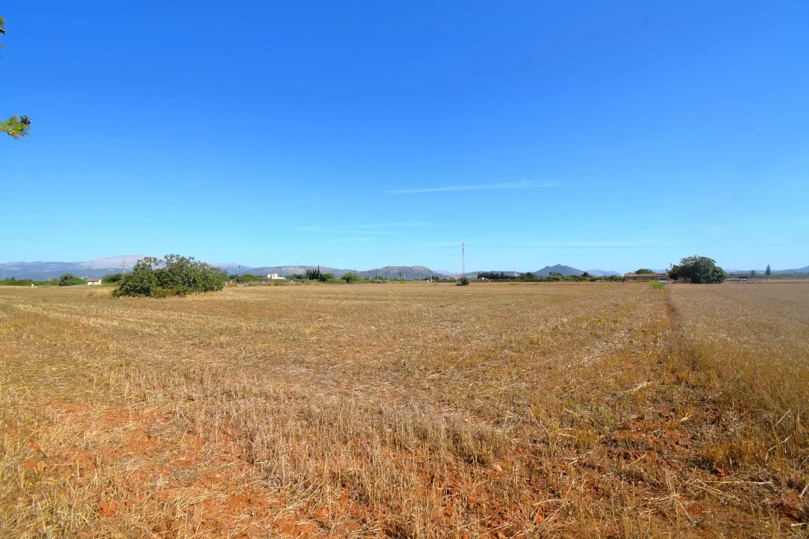 Casa rústica en venta en Muro, imagen 11