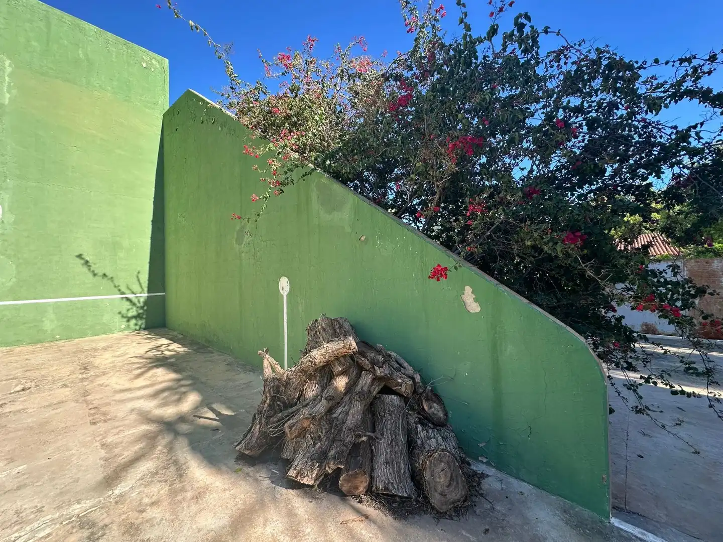 Vista exterior de Casa o xalet en venda en Alicante / Alacant amb Jardí privat, Terrassa i Piscina