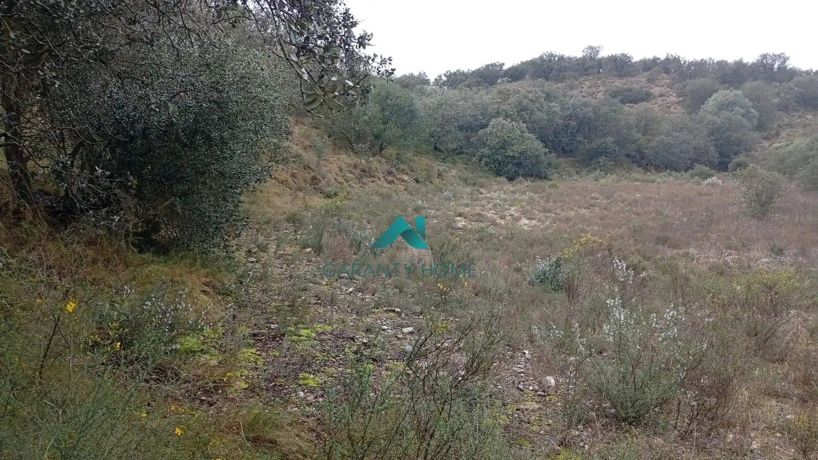 Terrenos y solares en venta en Castelló de Farfanya, imagen 3