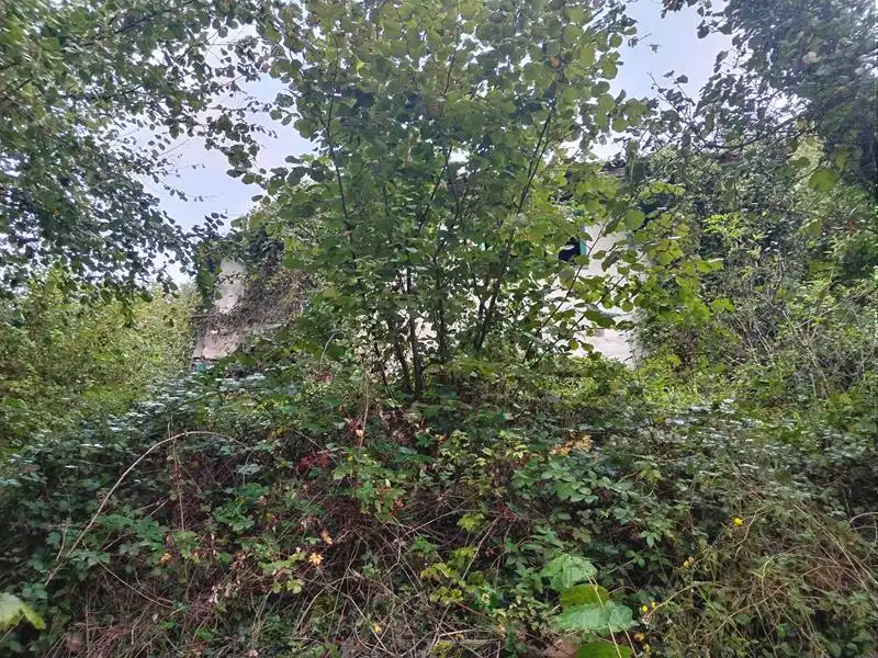 Country homes for sale in Yernes y Tameza