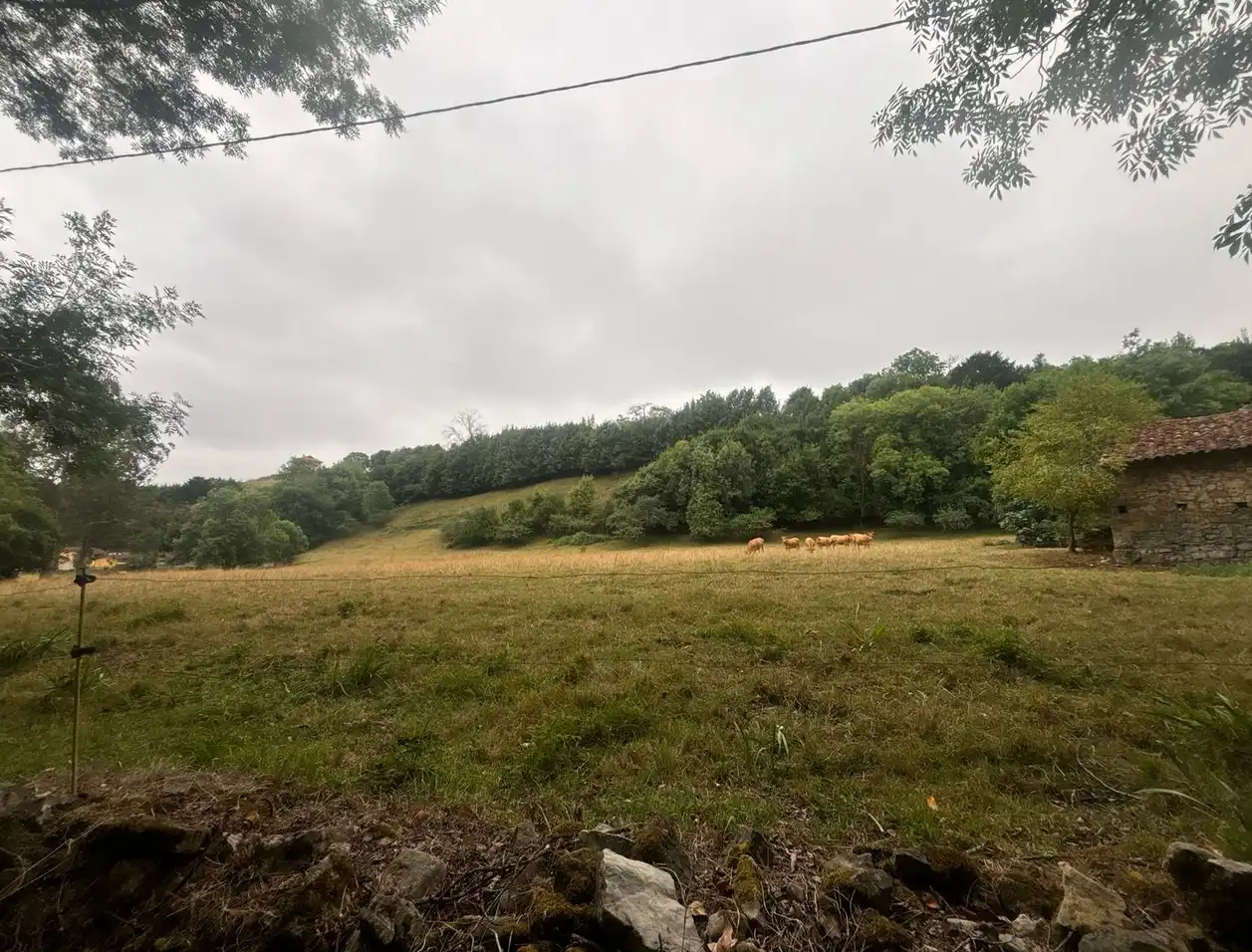 Finca rústica en venda en Gijón  amb Jardí privat