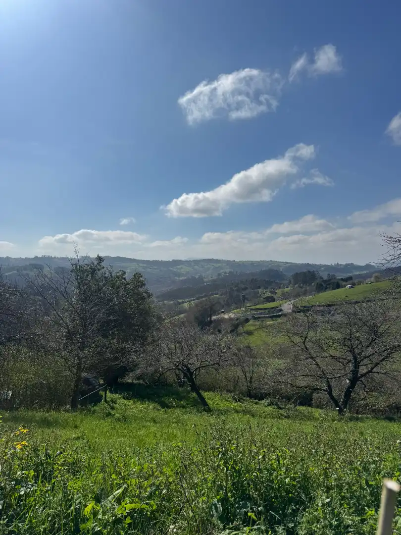 Casa o xalet en venda a Camino de La Pedrera a Ruedes, La Pedrera