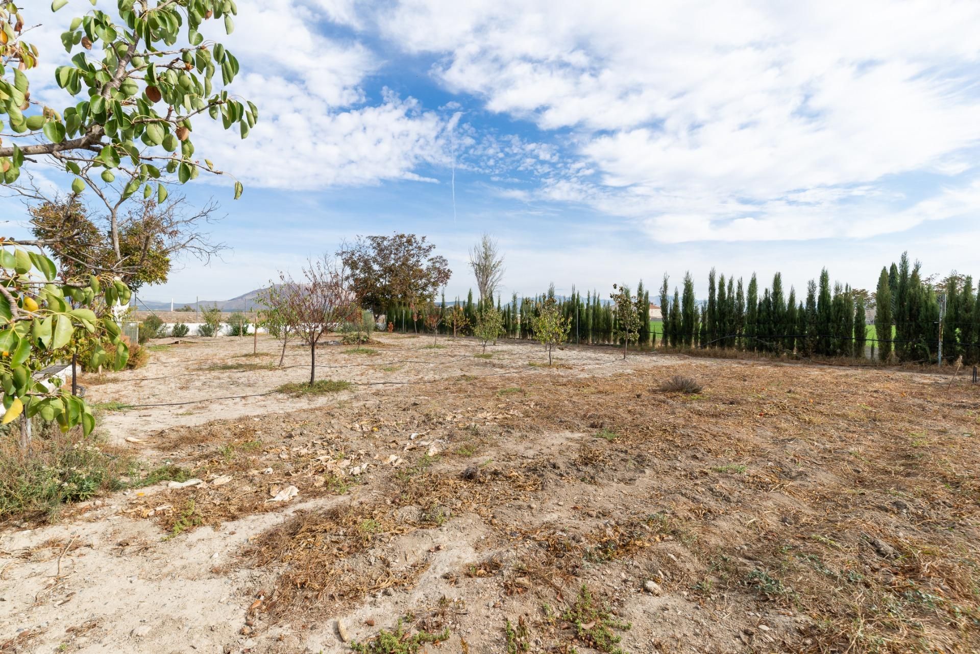 Finca rústica en venda en Santa Fe amb Jardí privat, Terrassa i Traster