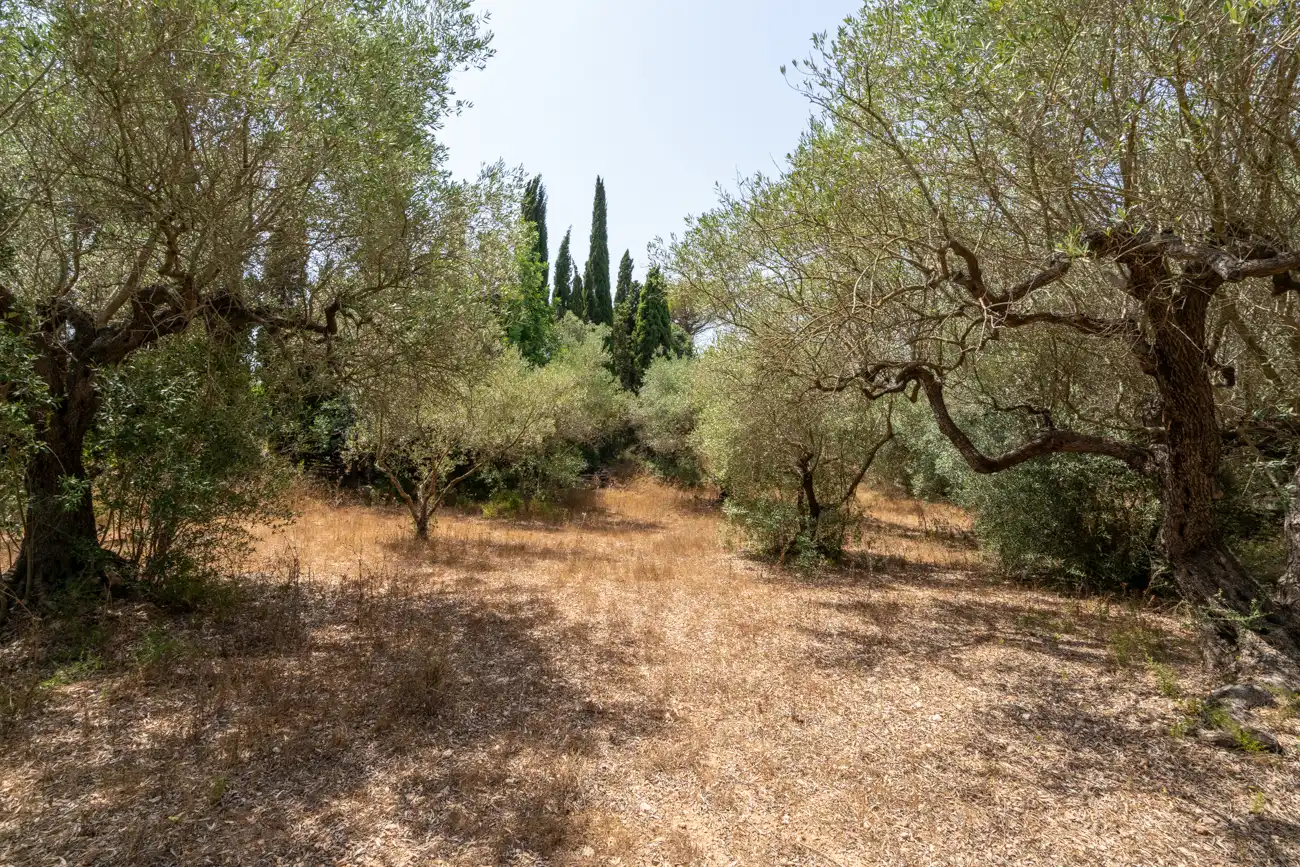 Terreno en venta en Masdenverge