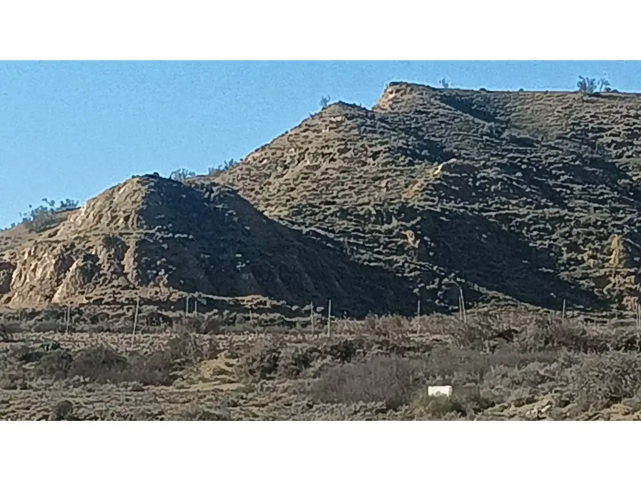 Vista exterior de Terreno en venta en Belver de Cinca