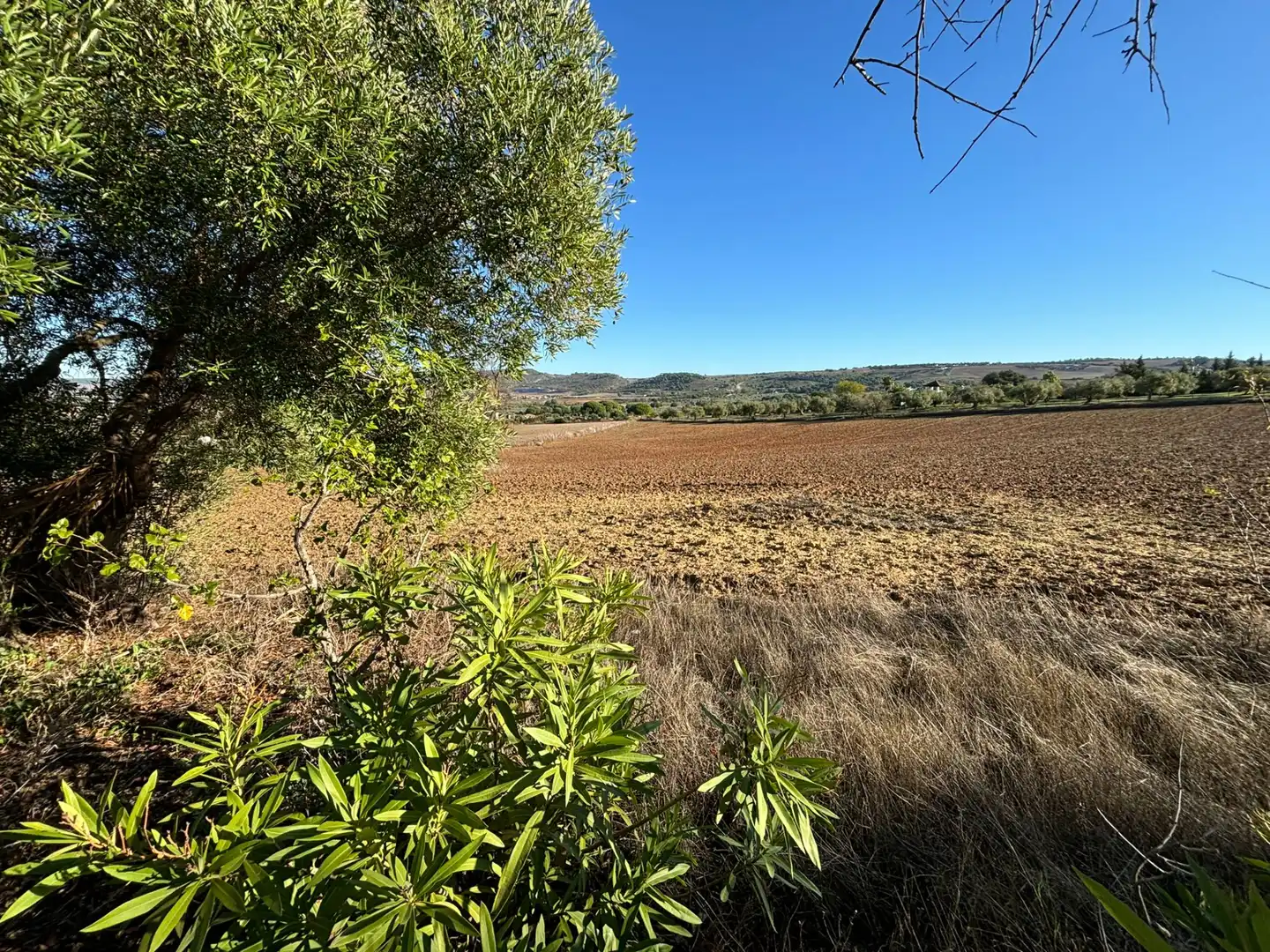 Terreny en venda en Arcos de la Frontera