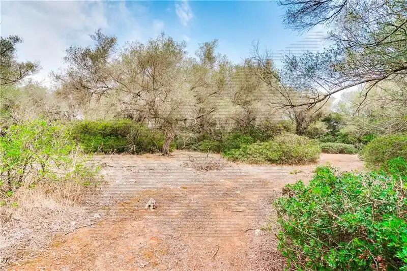 Residential land for sale in Felanitx Poble, imagen 8