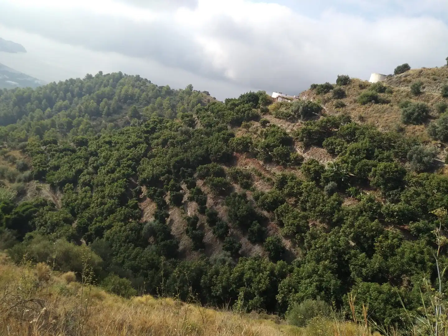 Casa rústica amb jardí en venda a Motril  ciudad, imagen 16