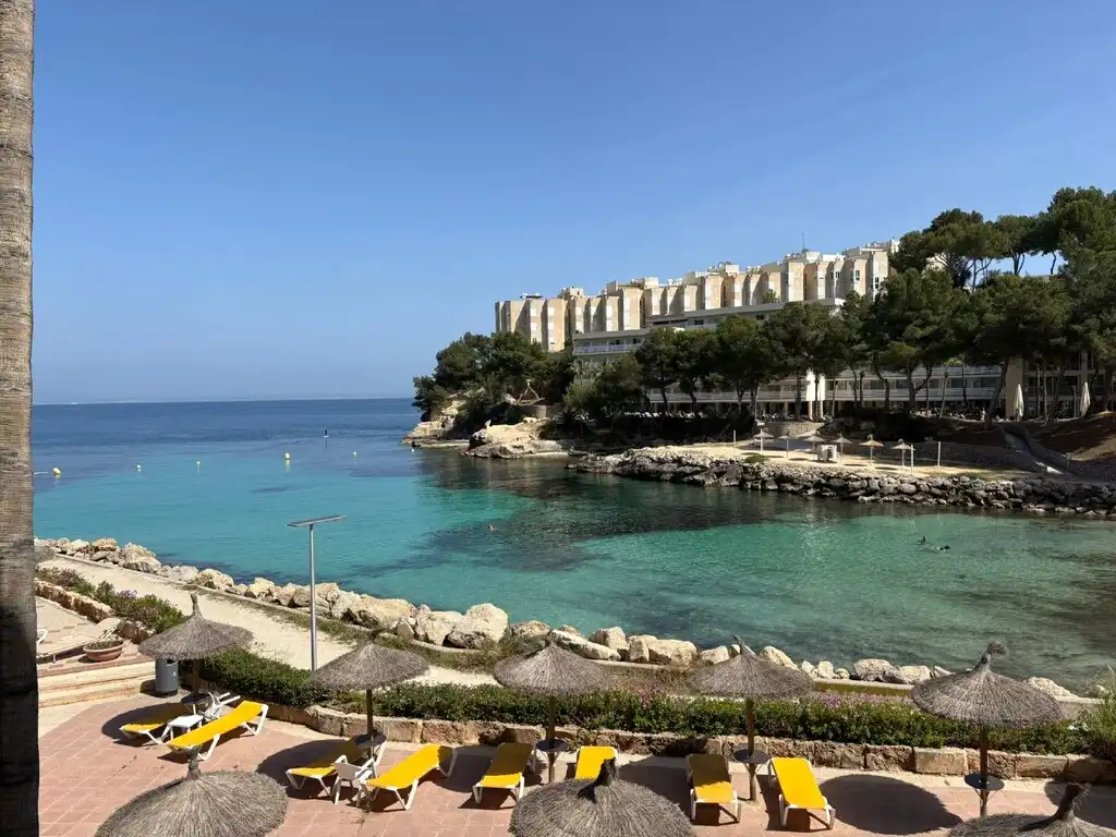 Apartments for sale in Calvià  with Air Conditioner, Terrace and Furnished